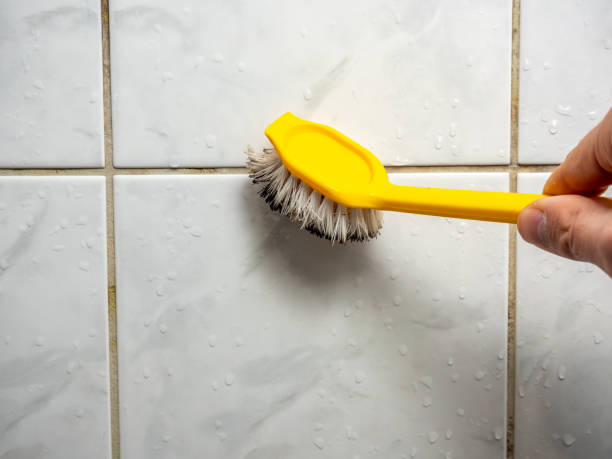 Best Localized Mold Remediation (e.g., coastal areas, humid climates) in New Albany, IN